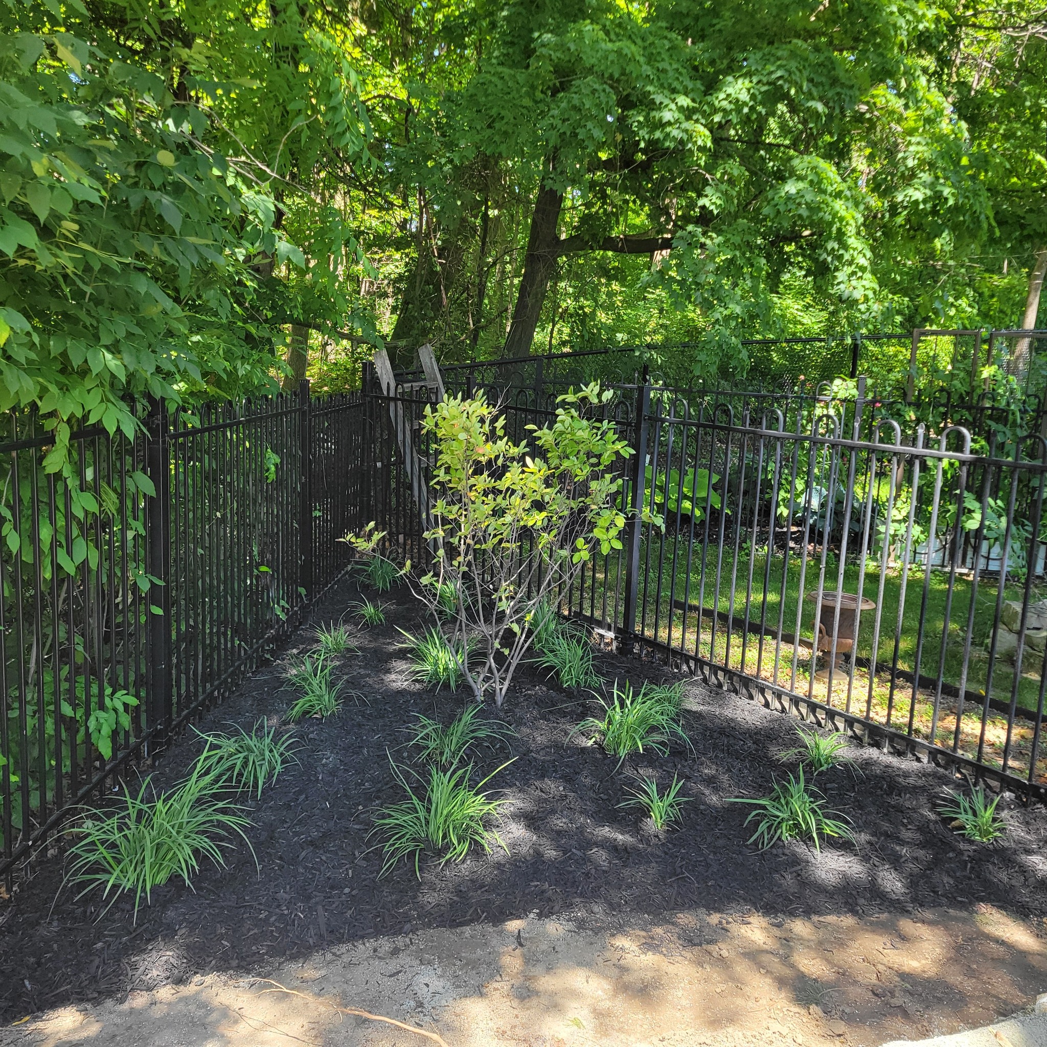 backyard garden Lanscaping project - erin ontario