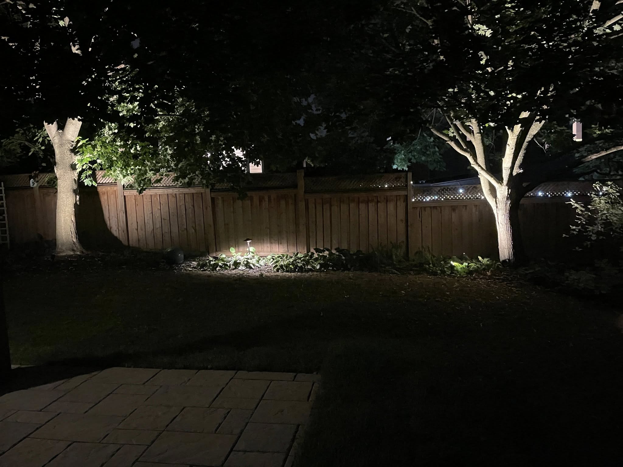 backyard lighting landsacping project